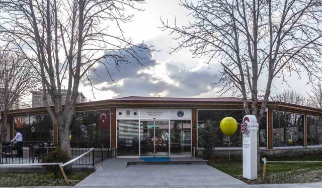 Mimarsinan Pidecisi yenilendi