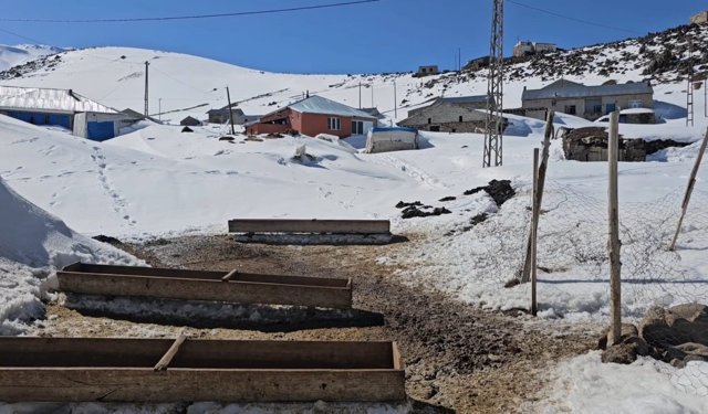 Nisanda kara gömülen mahalle: Kışkılı'ya bahar gelmedi