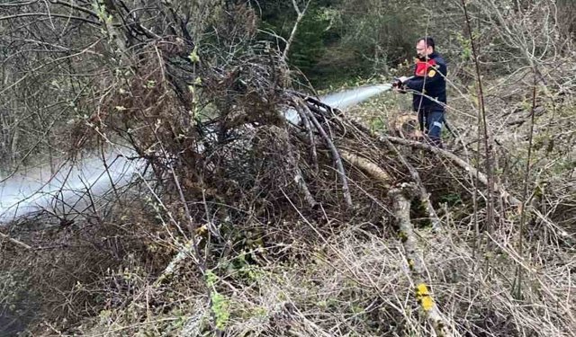 Ormanlık alanda çıkan yangın büyümeden söndürüldü