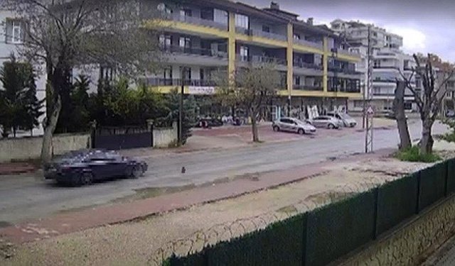 Otomobilin çarpmasıyla ölen kedinin yavrusu başından ayrılmadı