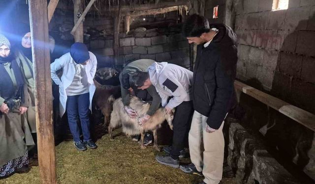 Özalp'te çiftçilere yönelik eğitim seferberliği başlatıldı