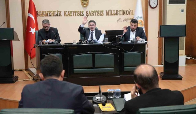 Samsun'da Balaç'ı doğalgaza kavuşturacak imar planı değişikliği meclisten geçti