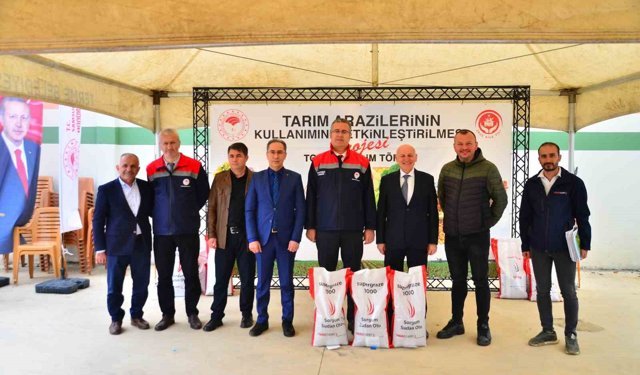 Samsun'da çiftçilere sorgum sudan tohumu dağıtıldı
