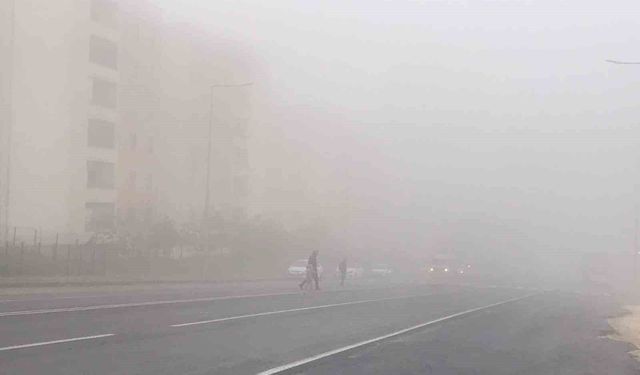 Şanlıurfa'da sis nedeniyle görüş mesafesi düştü