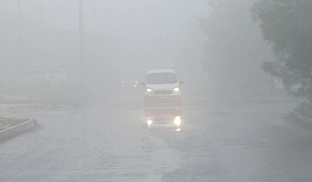 Şanlıurfa'da yoğun sis etkili oldu
