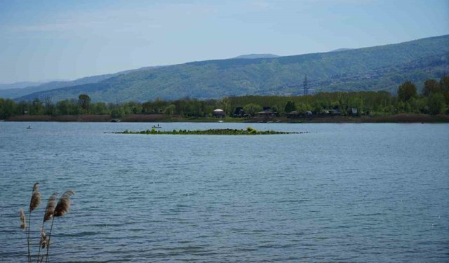 Sapanca Gölü çekildi: Gizemli ada yeniden ortaya çıktı