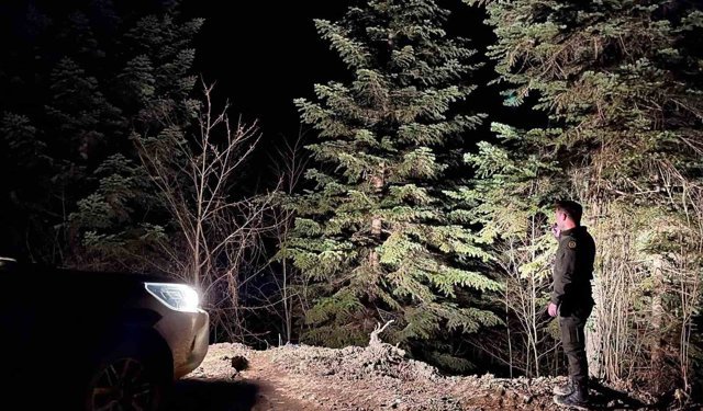 Sinop ormanları 7/24 koruma altında