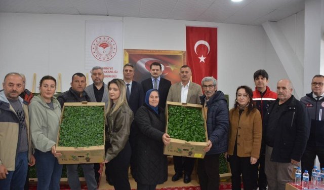 Sinop'ta 135 bin fide toprakla buluşuyor