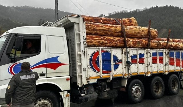 Sinop'ta orman ürünlerine 183 noktada denetim