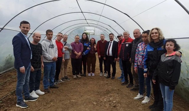 Sinop'ta özel bireylerden fide dikimi etkinliği