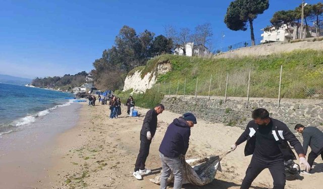 Sinop'ta sahil temizliği