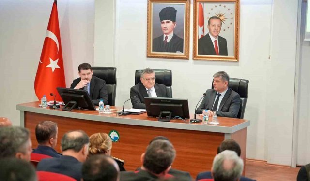 Sinop'ta sokak hayvanları için yol haritası belirlendi