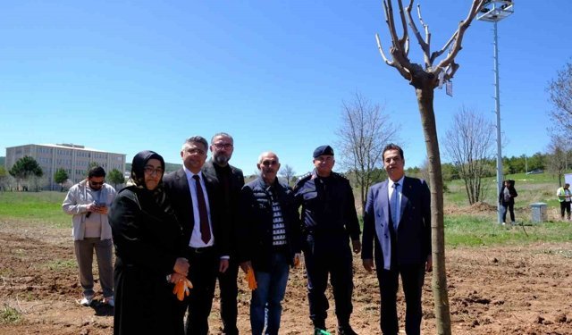 Sivas'ta şehitlerin adı fidanlarda yaşatılacak