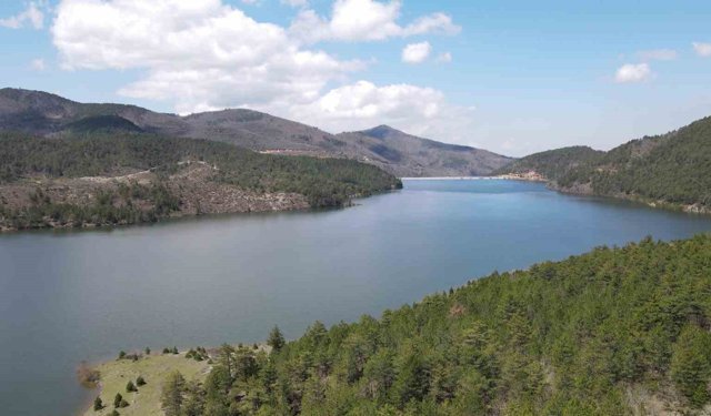 Son yağışlar Nilüfer Barajı'nı doldurdu, dereler coştu