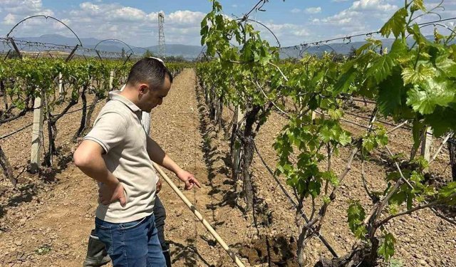 TARİŞ'ten bağlara yakın takip