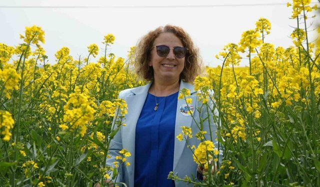 Tekirdağ sarıya büründü: Kanola tarlaları kartpostallık manzaralar oluşturdu