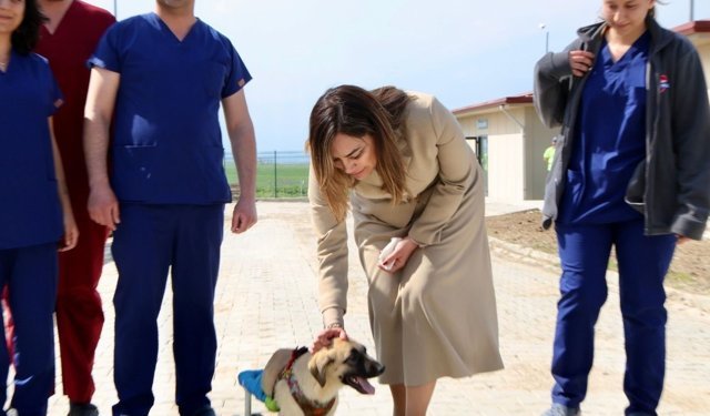 Tekirdağ'da can dostları için 10 bin metrekarelik yaşam alanı