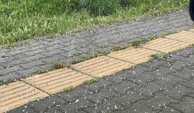 Tunceli'de gök gürültülü sağanak ve dolu yağışı etkili oldu