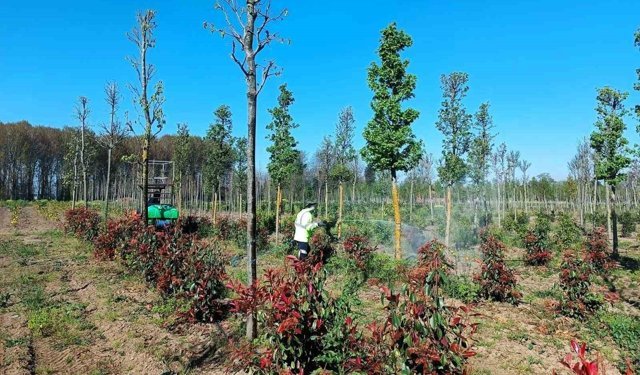 Üretim fidanlığında bitkiler hastalıklara karşı korumaya alındı