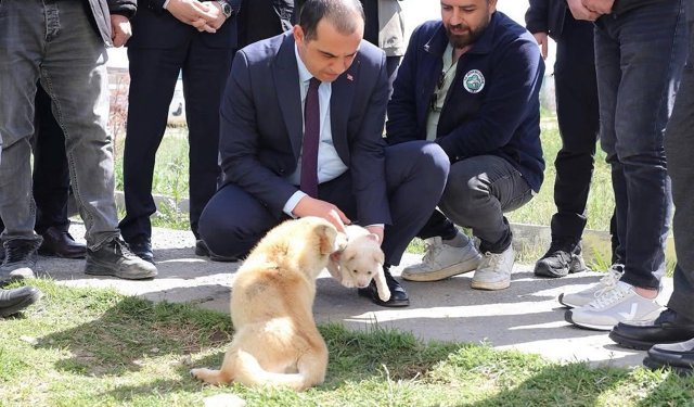 Vali Taşolar, Iğdır Geçici Hayvan Bakımevi'ni ziyaret etti