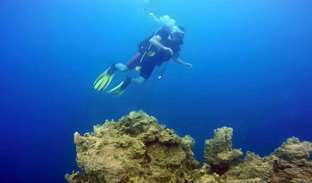 Van Gölü'nün mikrobiyalitleri Guinness için ön elemeyi geçti