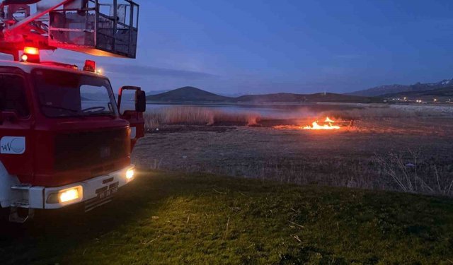 Van'da 2 farklı sazlık alanda yangın çıktı