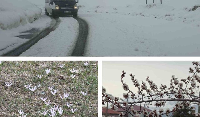 Van'da iki mevsim bir arada: Bir yanda bahar, diğer yanda kış
