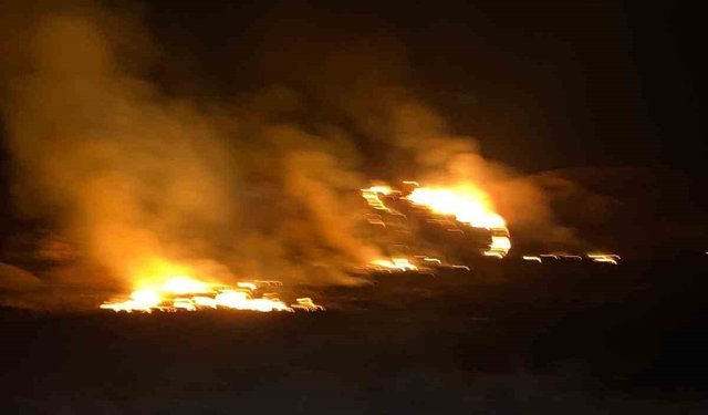 Van'da sazlık alanda yangın çıktı