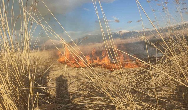Van'ın Muradiye ilçesinde sazlık yangını