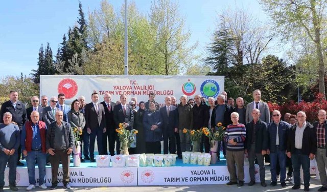 Yalova'da çiftçiye ayçiçeği ve fasulye tohumu desteği