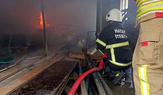 Yayladağı'nda müstakile evden alevler yükseldi