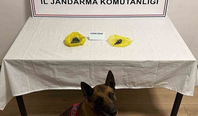 Yol kontrolünde uyuşturucu yakalandı