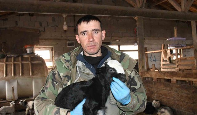 Yozgatlı keçi yetiştiricisi kireçli yöntemle hayvan kayıplarını önledi