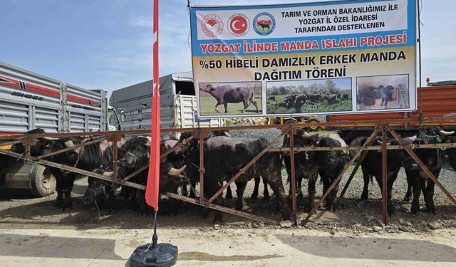 Yozgat'ta 20 manda üreticilere teslim edildi