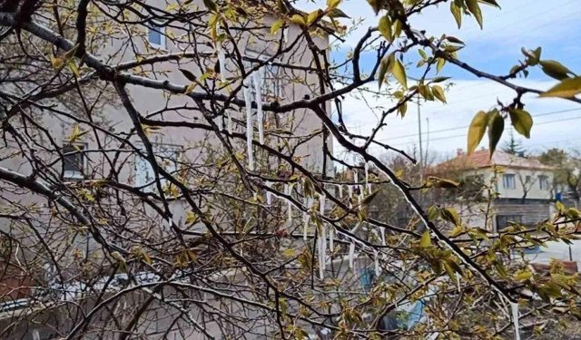 Yozgat'ta çiftçiler zirai don tehlikesine karşı uyarıldı