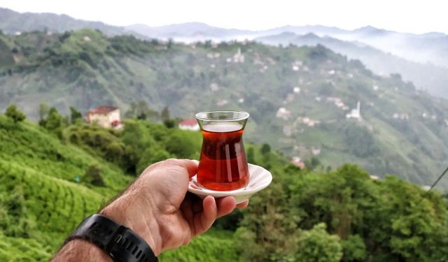 Rize Esnafı İnternetten Satışla Büyüyor