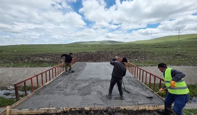 Ardahan'da hayvanların meralara geçişi için köprü yapıldı