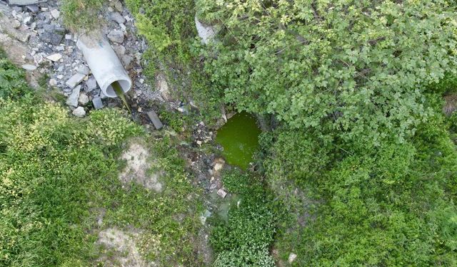 Arnavutköy'de dereden akan yeşil su mahalleliyi tedirgin etti
