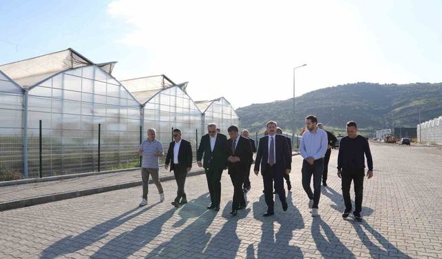 Bafra'da üretim ve kamu yatırımları yerinde incelendi