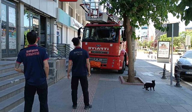 Batman'da vefakar kedi arkadaşını yalnız bırakmadı