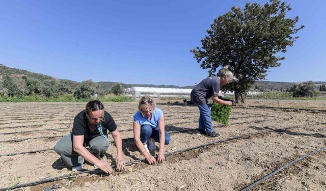 Büyükşehir çiftçinin emeğine katma değer katıyor