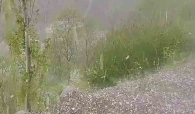 Erzurum'da ceviz büyüklüğünde dolu yağdı