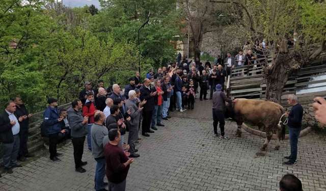 Geçmişten günümüze: Kemaliye'de şükür kurbanı