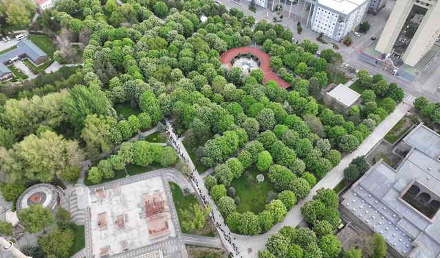 Kayseri'de 300 bin kök organik domates fidesine yoğun ilgi