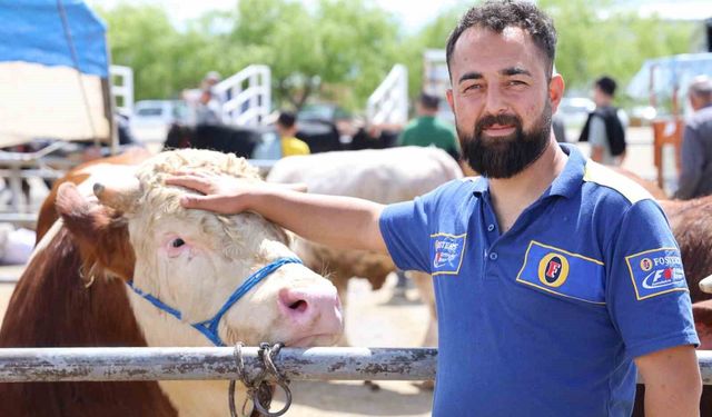 Kırşehir'de otomobil fiyatına inek: 830 kiloluk hayvan 300 bin TL'ye satıldı