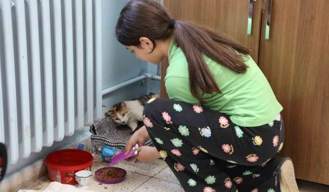 Minik misafirler sınıfın neşesi oldu