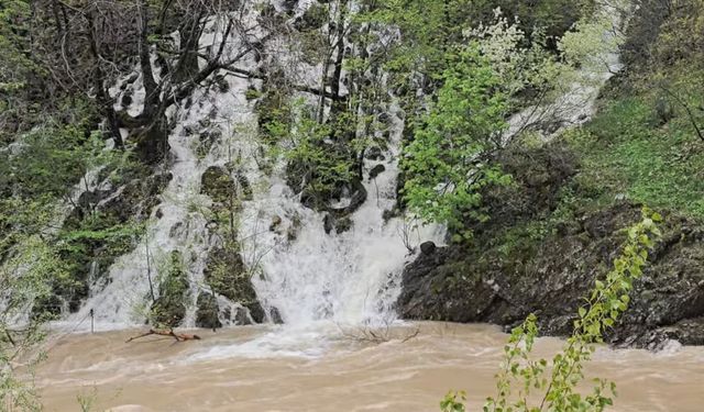 Munzur Vadisi'nde kar suları doğal şelaleler oluşturdu