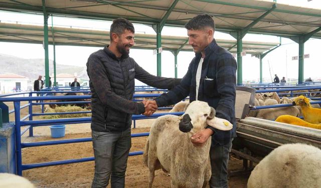 Niğde'de hayvan pazarında bayram bereketi yaşanıyor