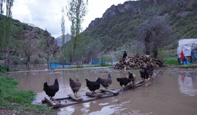 Şırnak'ta sel suları köprüleri yıktı, ev ve ahırlar sular altında kaldı