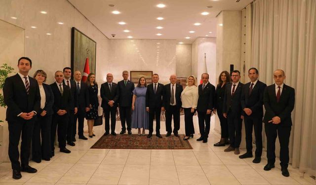 TBMM Dışişleri Komisyonu Başkanı Oktay: 'Japonya ile ticaret hacmini 10-15 milyar dolara yükseltmeyi hedefliyoruz'